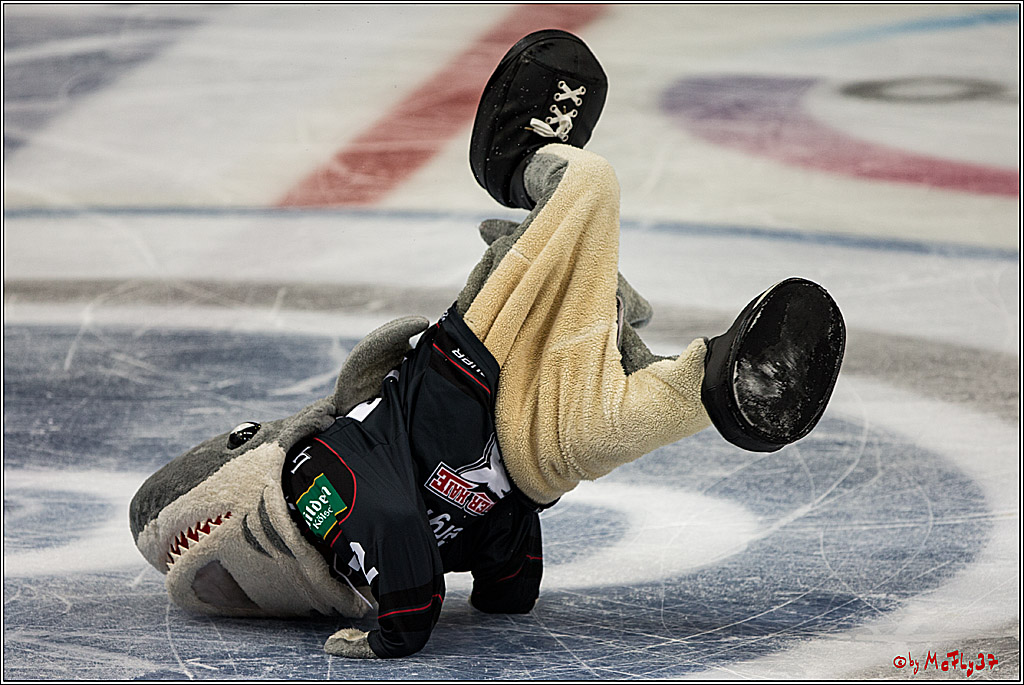 Koelner Haie - EHC Red Bull Muenchen , 16.09.16(KW37)